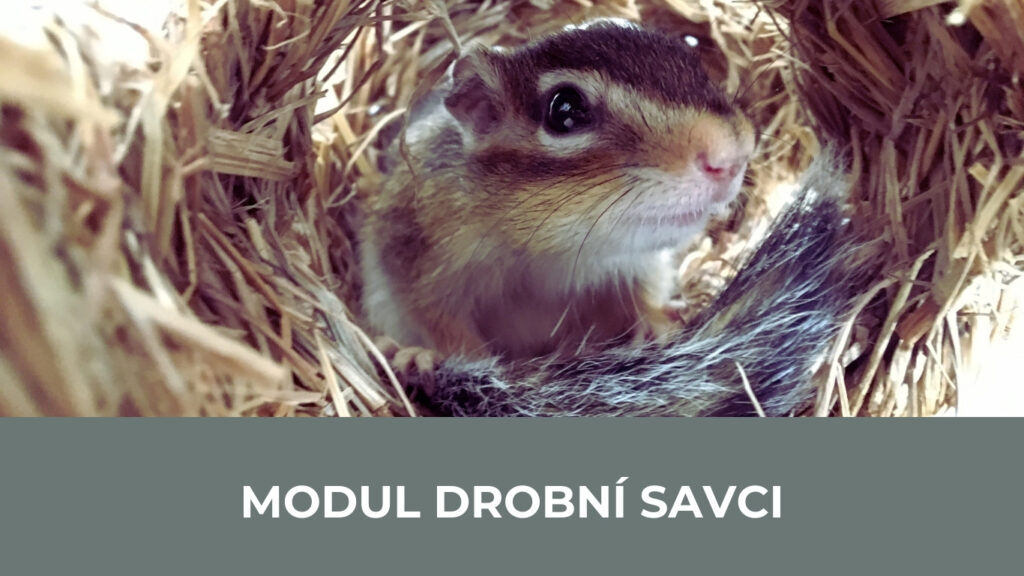 Modul drobní savci
