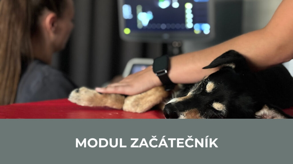 Modul začátečník