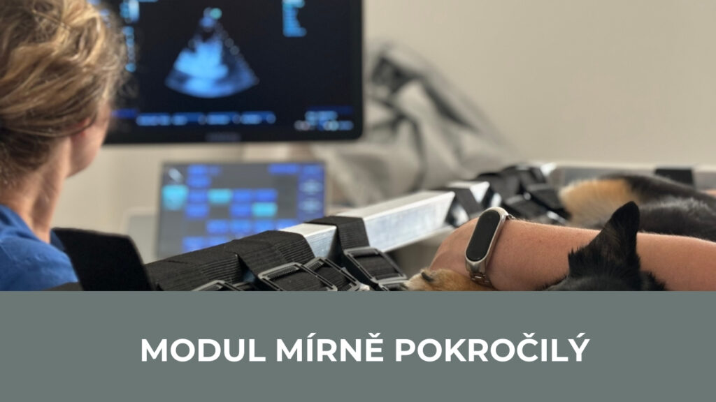 Modul mírně pokročilý