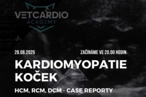 kardiomyopatie koček