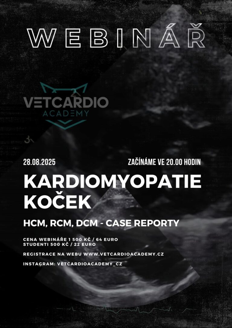 kardiomyopatie koček
