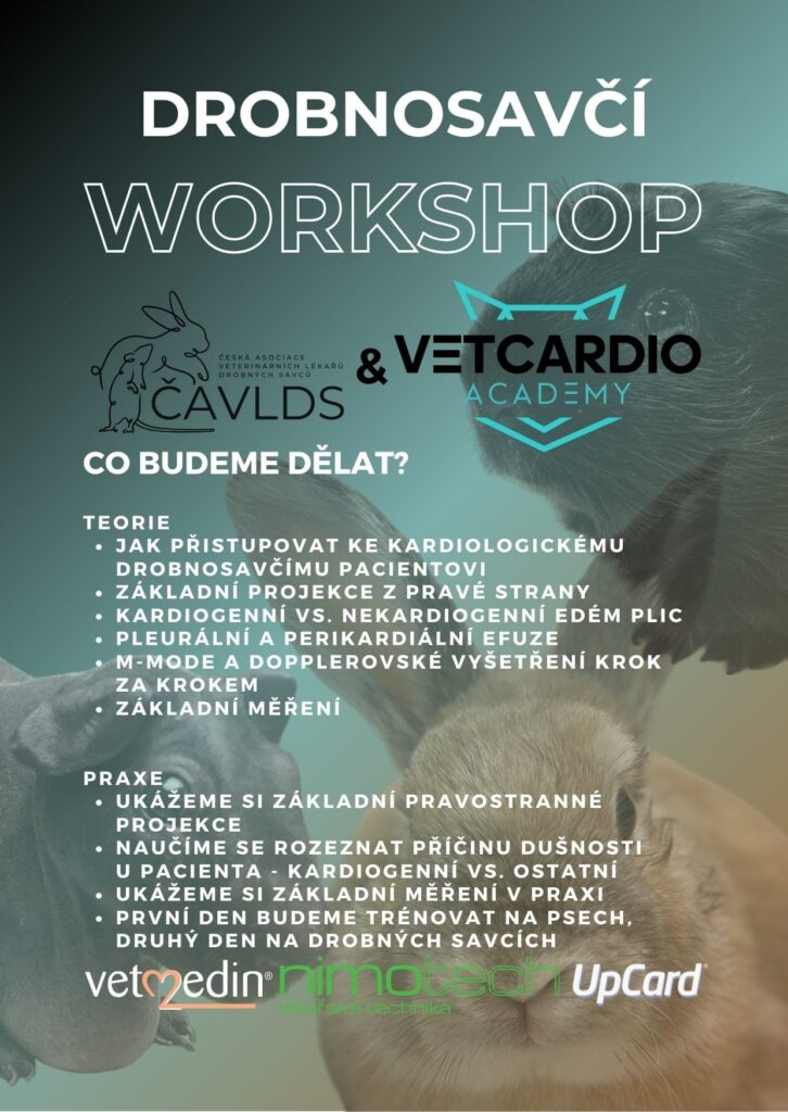 Drobnosavčí Workshop