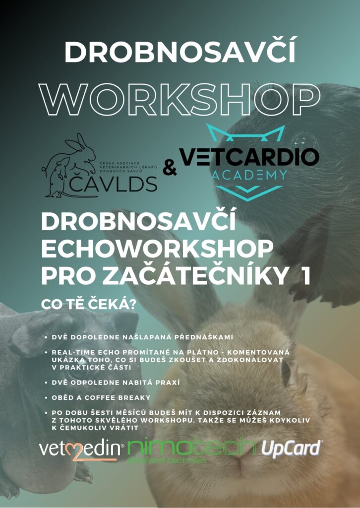 Drobnosavčí Workshop