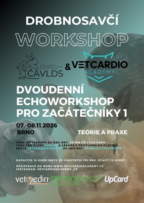 Drobnosavčí Workshop