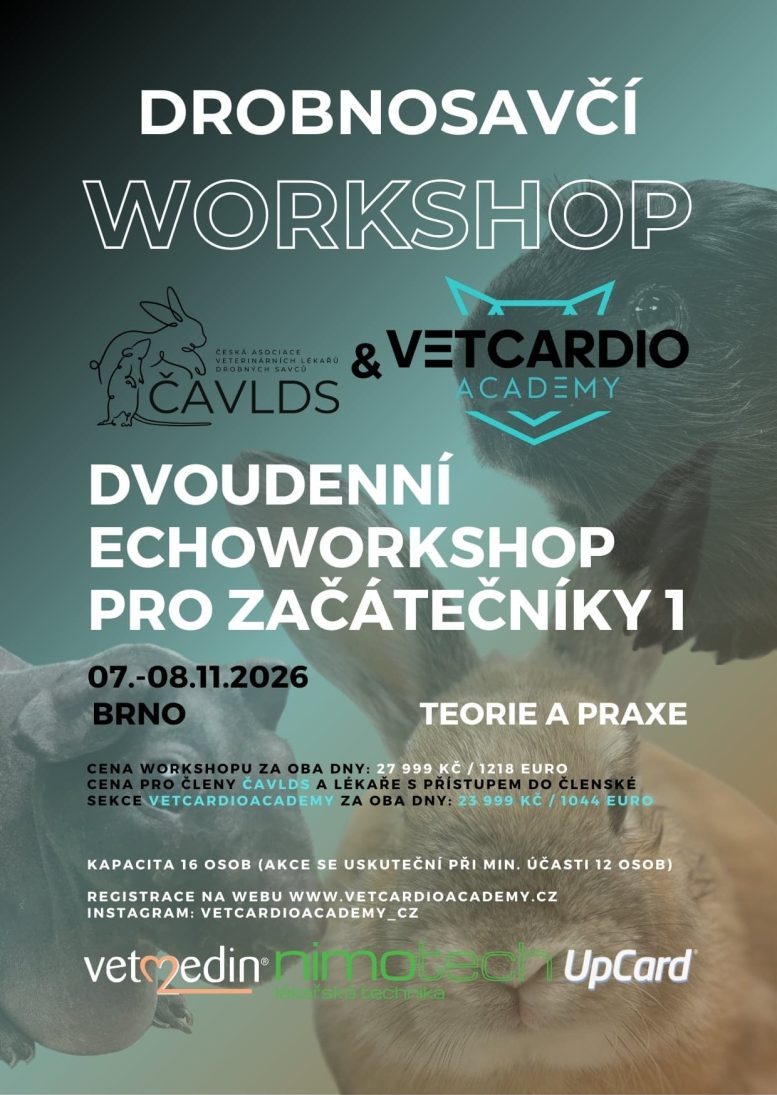 Drobnosavčí Workshop